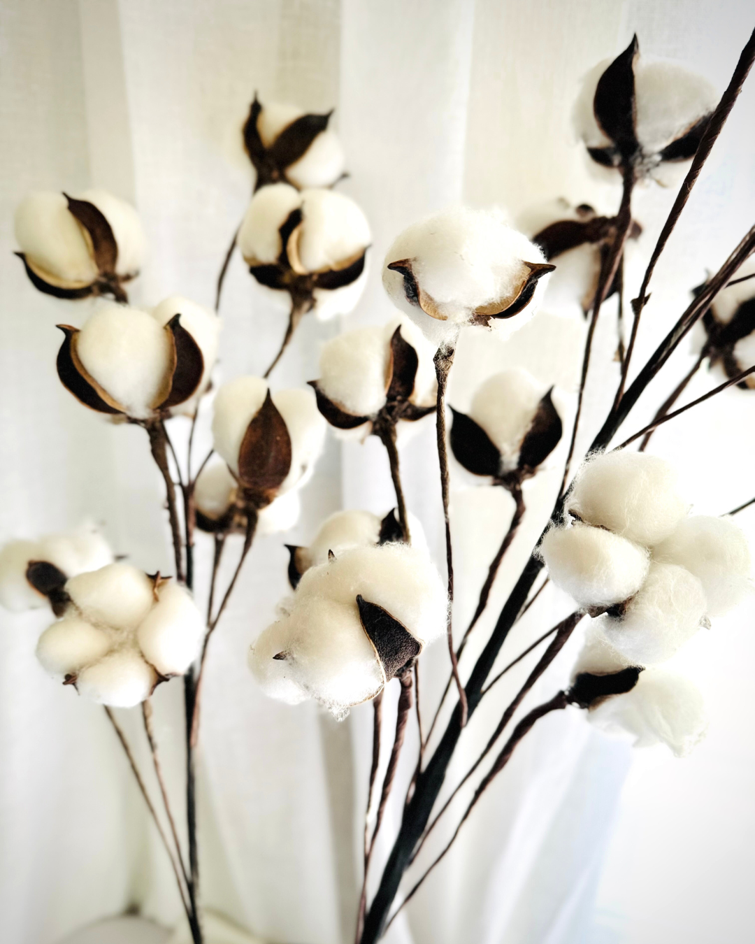 Dried Crystal Flowers – 50 Shades of Greed