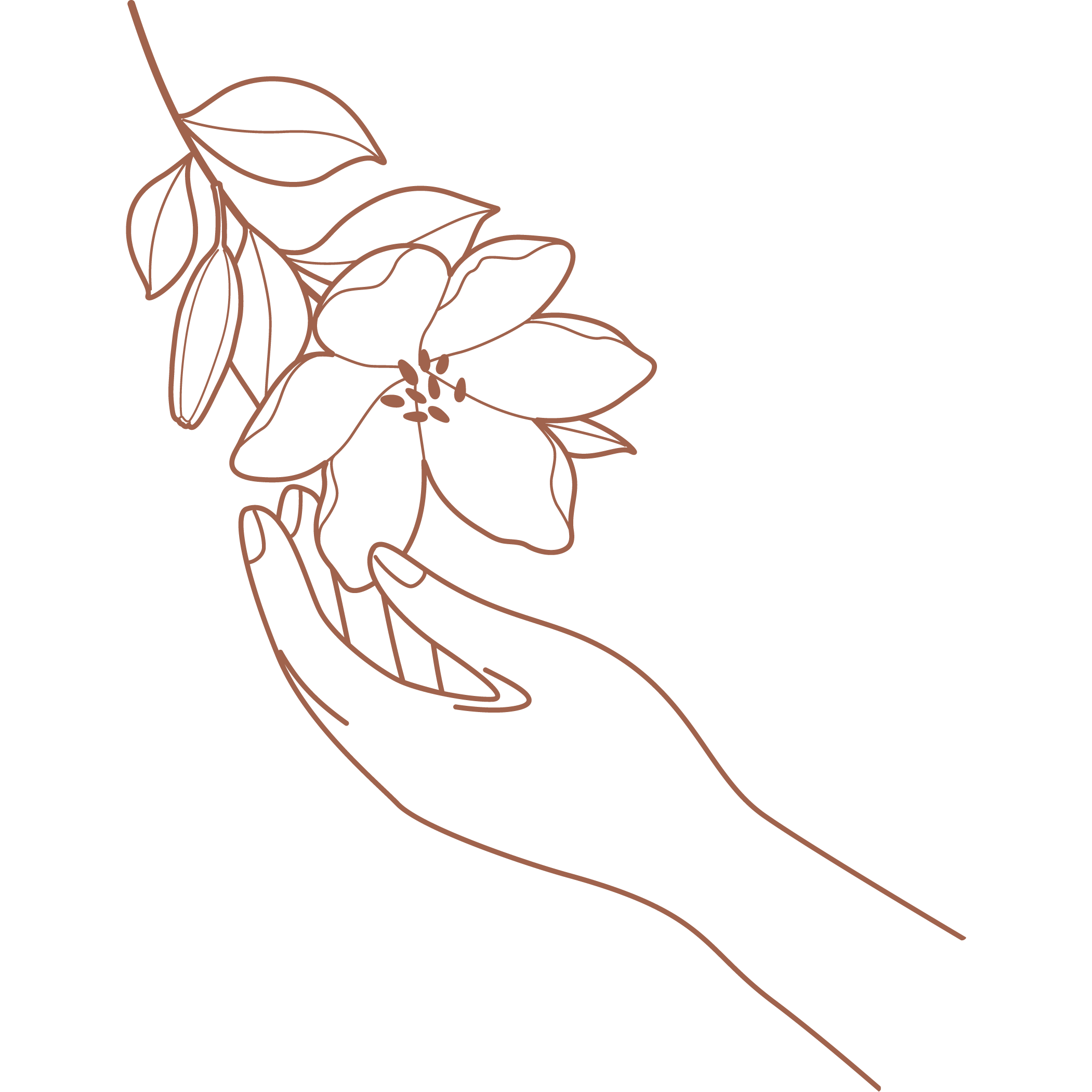 a sketch of a hand reaching a dried bloom upward gently